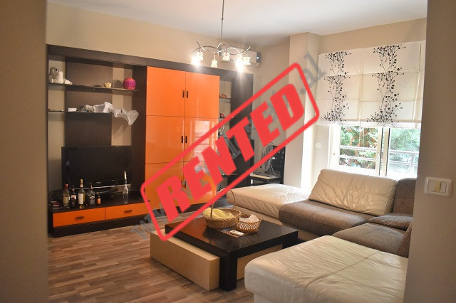 Two bedroom apartment for rent in Eduard&nbsp;Mano Street, near the Zoo area, in Tirana, Albania.
I